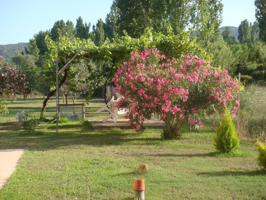 Villa Angela Sykia Chalkidikis Exterior foto