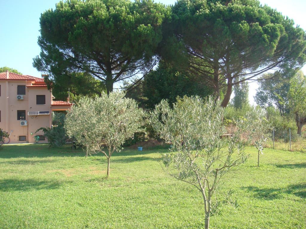 Villa Angela Sykia Chalkidikis Exterior foto