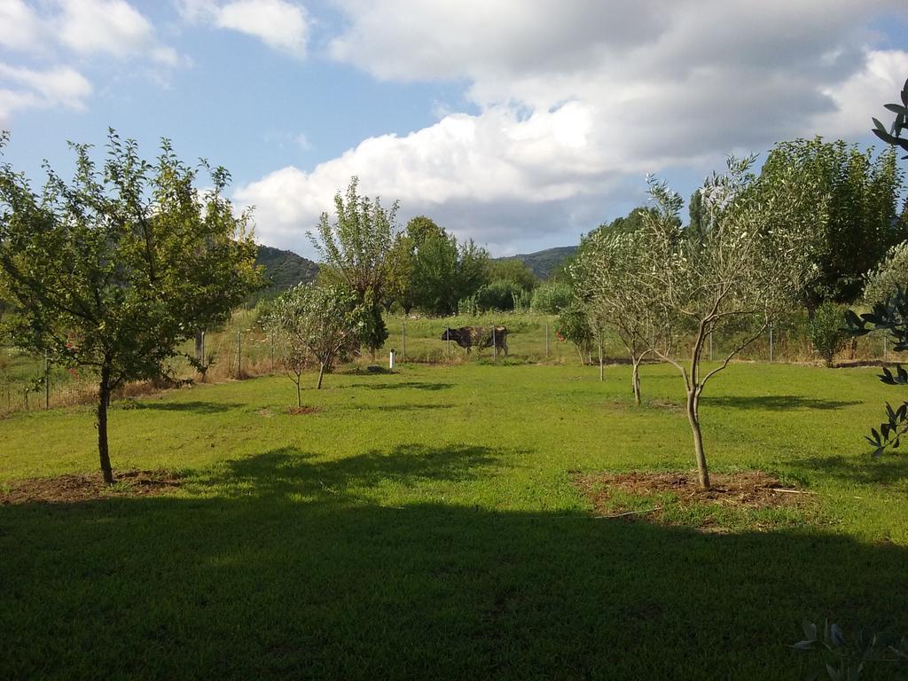 Villa Angela Sykia Chalkidikis Exterior foto